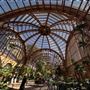 Botanical Building and Gardens - Balboa Park