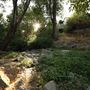 Meadowpass Road