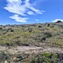39459 Opalocka Road Suite 1648