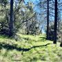 Aukum Ranch