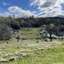 Aukum Ranch