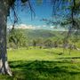 8,600 Acres in Mariposa & Madera County