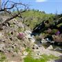8,600 Acres in Mariposa & Madera County