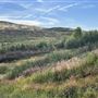 Alberhill Quarry