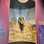 Wester Science Center