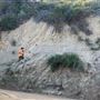 Boy Scout Trail - Griffith Park