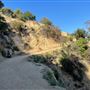 Boy Scout Trail - Griffith Park