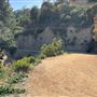 Boy Scout Trail - Griffith Park