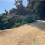 Boy Scout Trail - Griffith Park