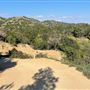 Boy Scout Trail - Griffith Park
