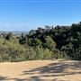 Boy Scout Trail - Griffith Park