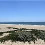 Playa Del Rey Beach @ North end of Dockweiler State Beach