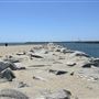 Playa Del Rey Beach @ North end of Dockweiler State Beach