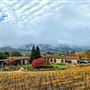 St. Francis Winery & Vineyards