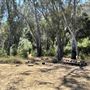Peter Strauss Ranch - National Park Service (NPS)