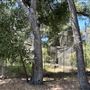 Peter Strauss Ranch - National Park Service (NPS)