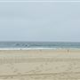 Dockweiler State Beach (SB) / FilmLA - County Beaches & Harbors