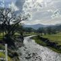 Solace Ranch & Vineyard