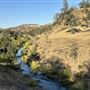 Solace Ranch & Vineyard