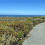 Montana de Oro State Park (SP)