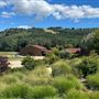 Halter Ranch