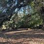 Halter Ranch