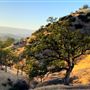 Solace Ranch & Vineyard