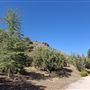 Acton Ranch
