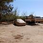 Desert Backyard