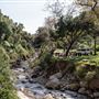 The Rincon Creek Ranch