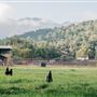 Alisal Ranch