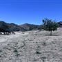Pyramid Lake