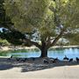 Apollo Community Regional Park