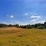 Brackett Field Airport