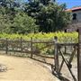 Deukmejian Wilderness Park