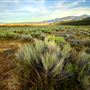 Hungry Valley State Vehicle Recreation Area (SVRA)
