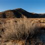 Hungry Valley State Vehicle Recreation Area (SVRA)