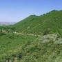 Mount Diablo State Park (SP)