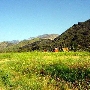 Mountain Property of Social Model Recovery System - Private Property