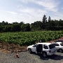 Mt. Vernon Winery