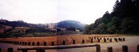 Pomo Canyon (Sonoma Coast State Park) (12/31/2003)