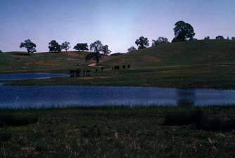 San Felipe Ranch Inc. / The Nature Conservancy California Program (12/31/2003)