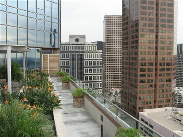 1100 Wilshire (1/27/2010 - Credits: John Grant)