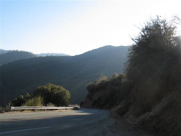 Giant Sequoia National Monument (9/22/2008 - Credits: LGFeldstein)