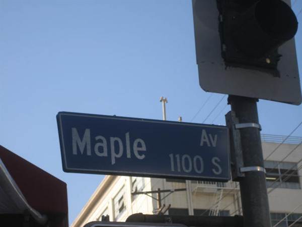 Maple Ave. (9/1/2010 - Credits: Lindsay Mizrahi)