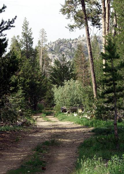 Washoe Meadows State Park (SP) (12/31/2003)