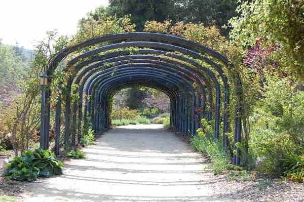 Descanso Gardens - Rose Garden (6/14/2011 - Credits: David Golden)