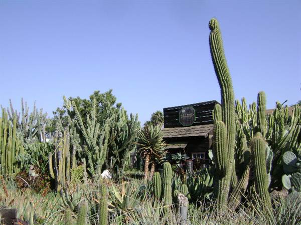 California Nursery Specialties - Cactus Ranch (6/22/2011 - Credits: J. Steven Witkowski)