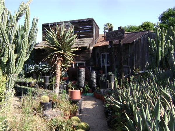 California Nursery Specialties - Cactus Ranch (6/22/2011 - Credits: J. Steven Witkowski)