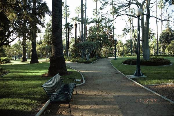 Will Rogers Memorial Park (3/3/2008)
